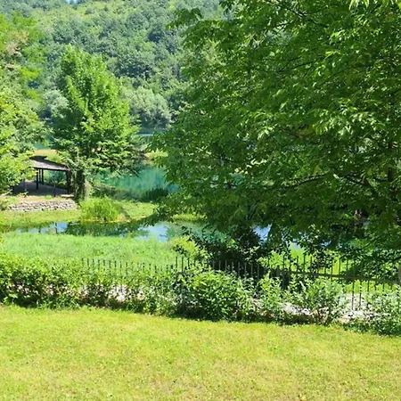 Dial Lohovo-dvoslap Bihac
